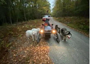 Swincar Tandem with Bill Helman "The WoofDriver" and his huskies.